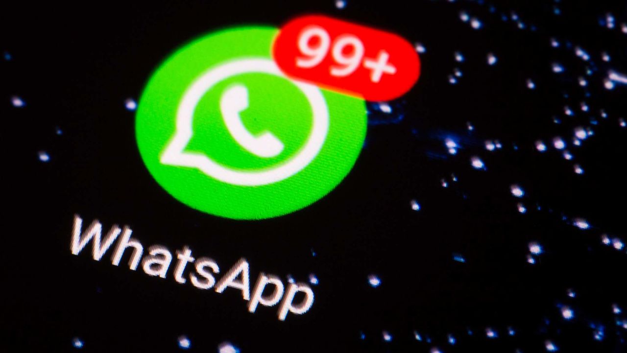 UK WhatsApp number screening software